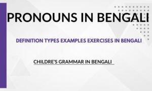 7 Pronouns Definition Types Examples Exercises in Bengali