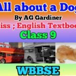 All about a Dog Class 9