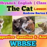 The Cat Questions and Answers Class 10 (2025)