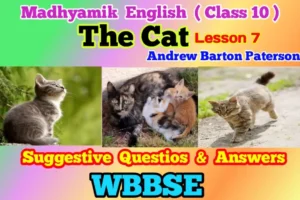 The Cat Questions and Answers Class 10 (2025)