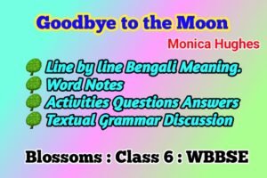 Goodbye to the Moon Class 6 Blossoms Questions Answers