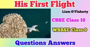 His First Flight Class 9 Question Answers and Bengali Meaning