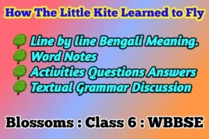 How The Little Kite Learned to Fly Class 6 Activity Solution