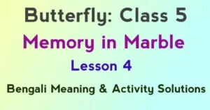 Memory in Marble Class 5 Questions and Answers