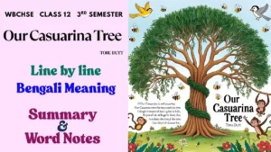 Our Casuarina Tree Bengali Meaning and Summary WBCHSE