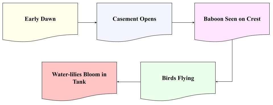 Our Casuarina Tree Diagram Based MCQ 4