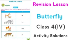 Revision Lesson Butterfly Class 4 Activity Answers