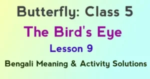The Bird’s Eye Class 5 Activity Questions Answers