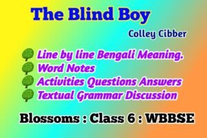 The Blind Boy Class 6 Blossoms Activity Questions Answers