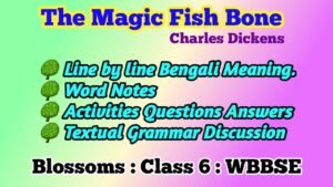 The Magic Fish Bone Class 6 Question Answers with Meaning