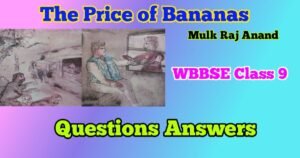 The Price of Bananas Class 9 Questions and Answers