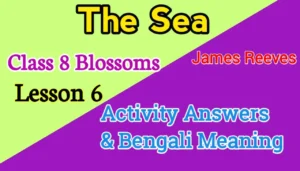 The Sea Class 8 Blossoms Questions Answers