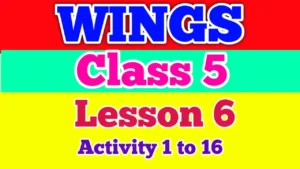 Wings Class 5 Answers Lesson 6 Activity 1 to Activity 16