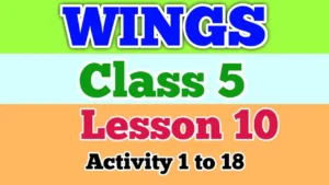 Wings Class 5 Lesson 10 Activity Answers 1 to 18