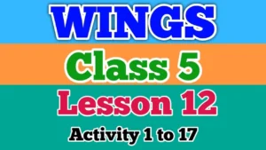 Wings Class 5 Lesson 12 Activity Answers 1 to 17