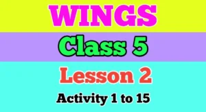 Wings Class 5 Lesson 2 Answers Activity 1 to Activity 15