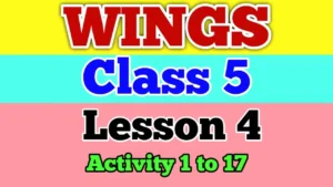 Wings Class 5 Lesson 4 Activity Answers