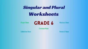 Singular and Plural Worksheets for Class 6 with Answers