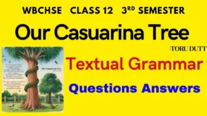 89 Our Casuarina Tree Textual Grammar Questions and Answers