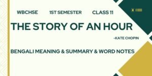 The Story of an Hour Bengali Meaning and Summary Class 11