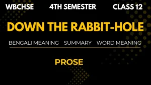 Down The Rabbit Hole Bengali Meaning Summary WBCHSE