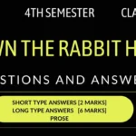 Down The Rabbit Hole Questions Answers 4th Semester Class 12