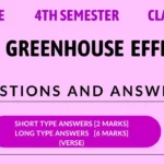 The Greenhouse Effect Questions Answers 4th Semester Class 12