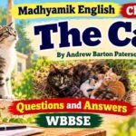 The Cat Questions and Answers Class 10 (2027)